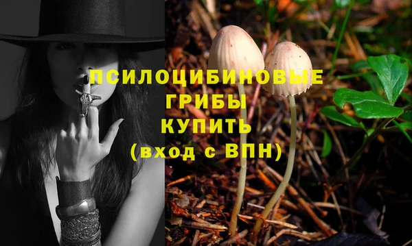 таблы Зеленокумск