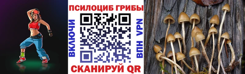 купить наркотик Артём блэк спрут ССЫЛКА Псилоцибиновые грибы Psilocybe