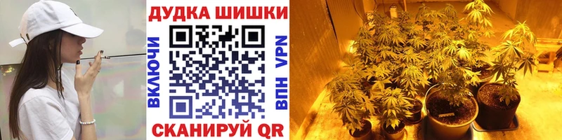 KRAKEN ТОР  Артём  Бошки марихуана ГИДРОПОН 